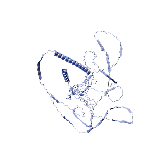Biotinylated Human CD30 (C-6His-Avi, HEK293)